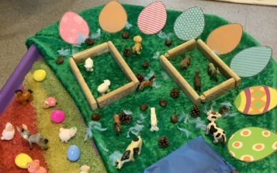 Fireflies Update – March 2023