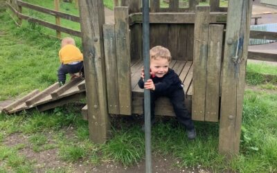 Fireflies Update – April 2023