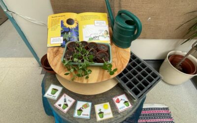 Growing Beans and Exploring Stories in Woodpeckers
