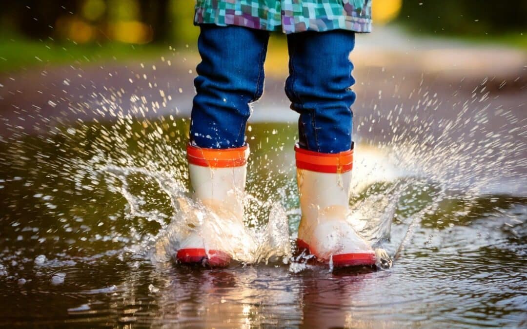 Traffic Disruption – 23rd January 2026