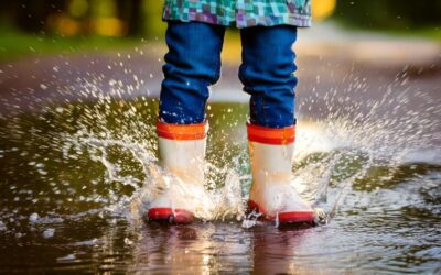 Traffic Disruption – 23rd January 2026