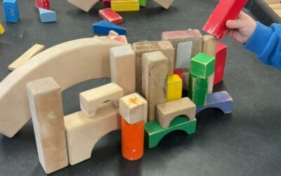 Cherry Room Term Review and Looking Ahead